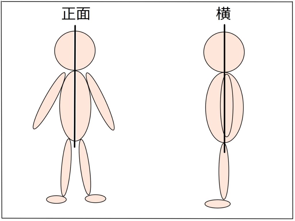 極真カラテ イラスト解説 身体の中に軸を作れば挙動が安定する 分かり易く解説します 極真カラテ黒帯への道