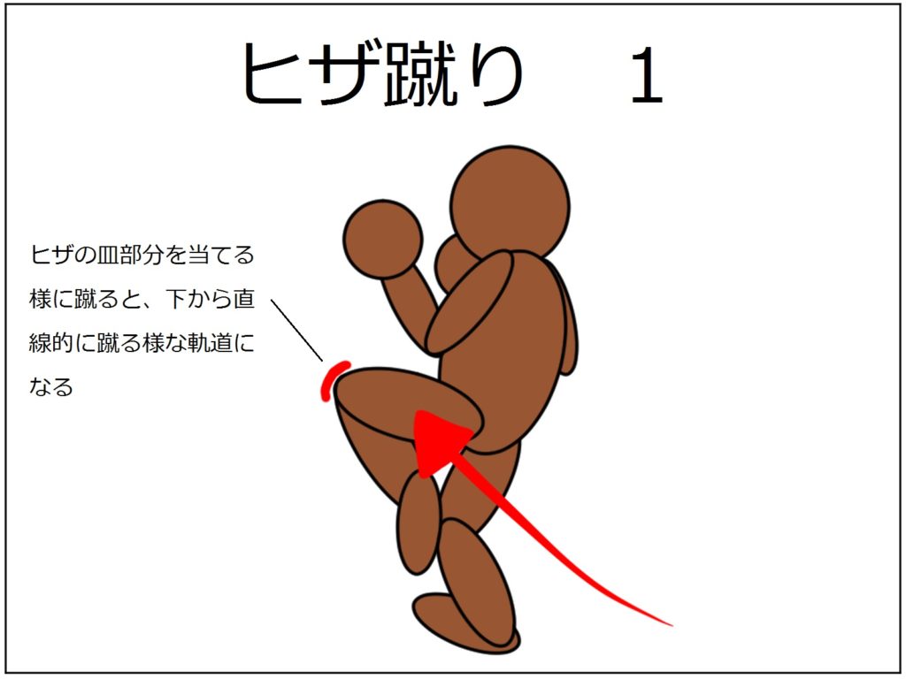 極真空手 ヒザ蹴りのコツはヒザの皿部分ではなく 皿の下部分を当てていく 極真カラテ黒帯への道